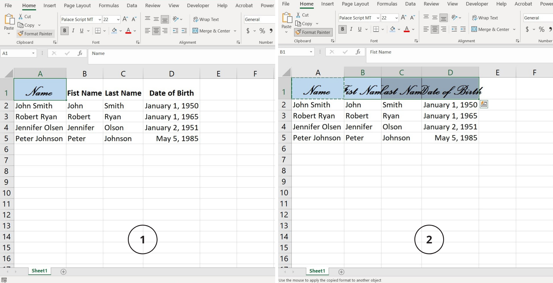 Format Painter Excel graphic